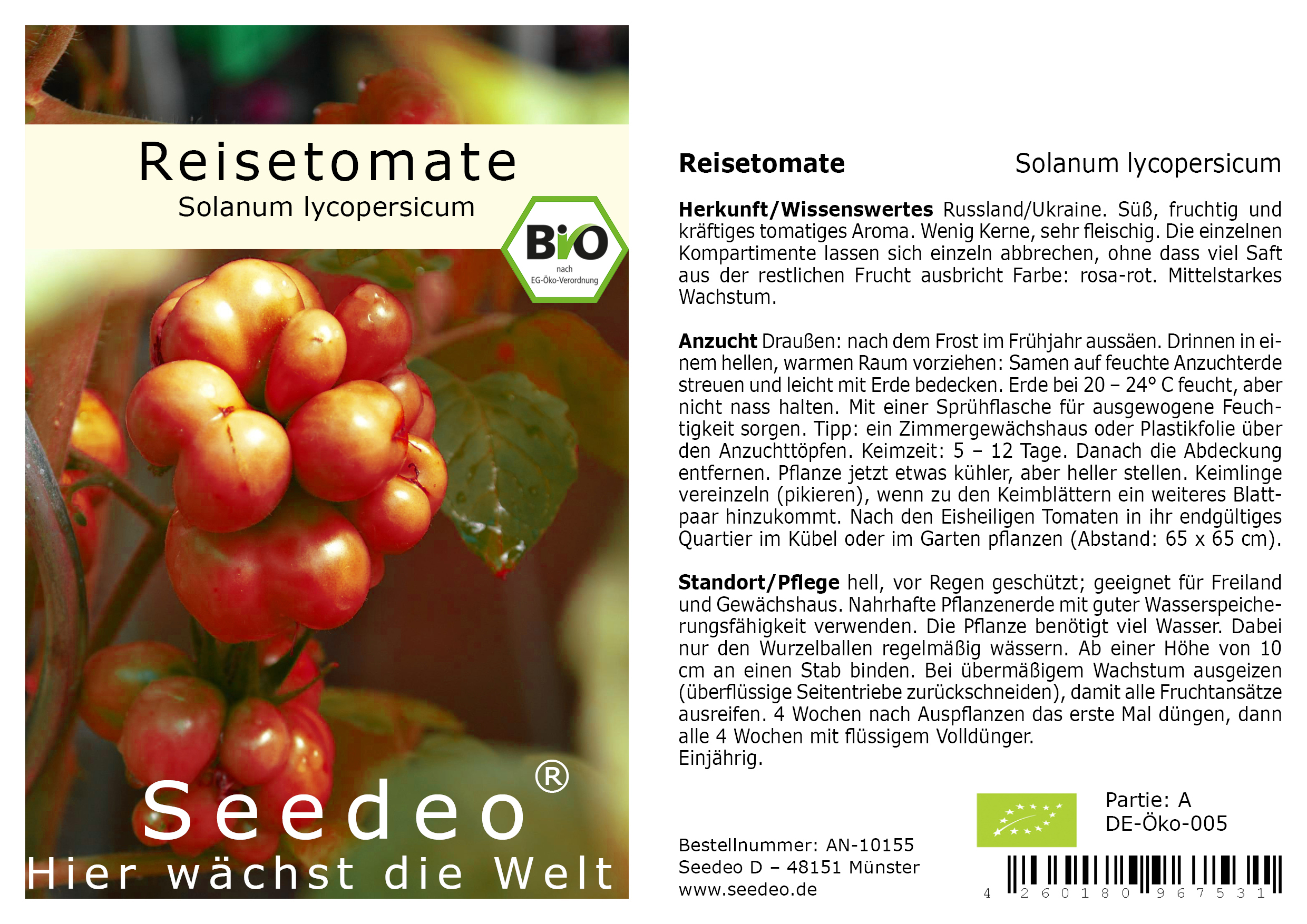 Seedeo® Reisetomate (Solanum lycopersicum) 10 Samen BIO